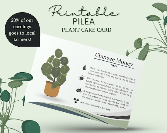 Pilea Care Card Chinesische Geldpflege Card Pilea Plant Care Card Pilea Peperomioides Care Card Wie man Pilea pflegt Pilea Water Plan Etsy