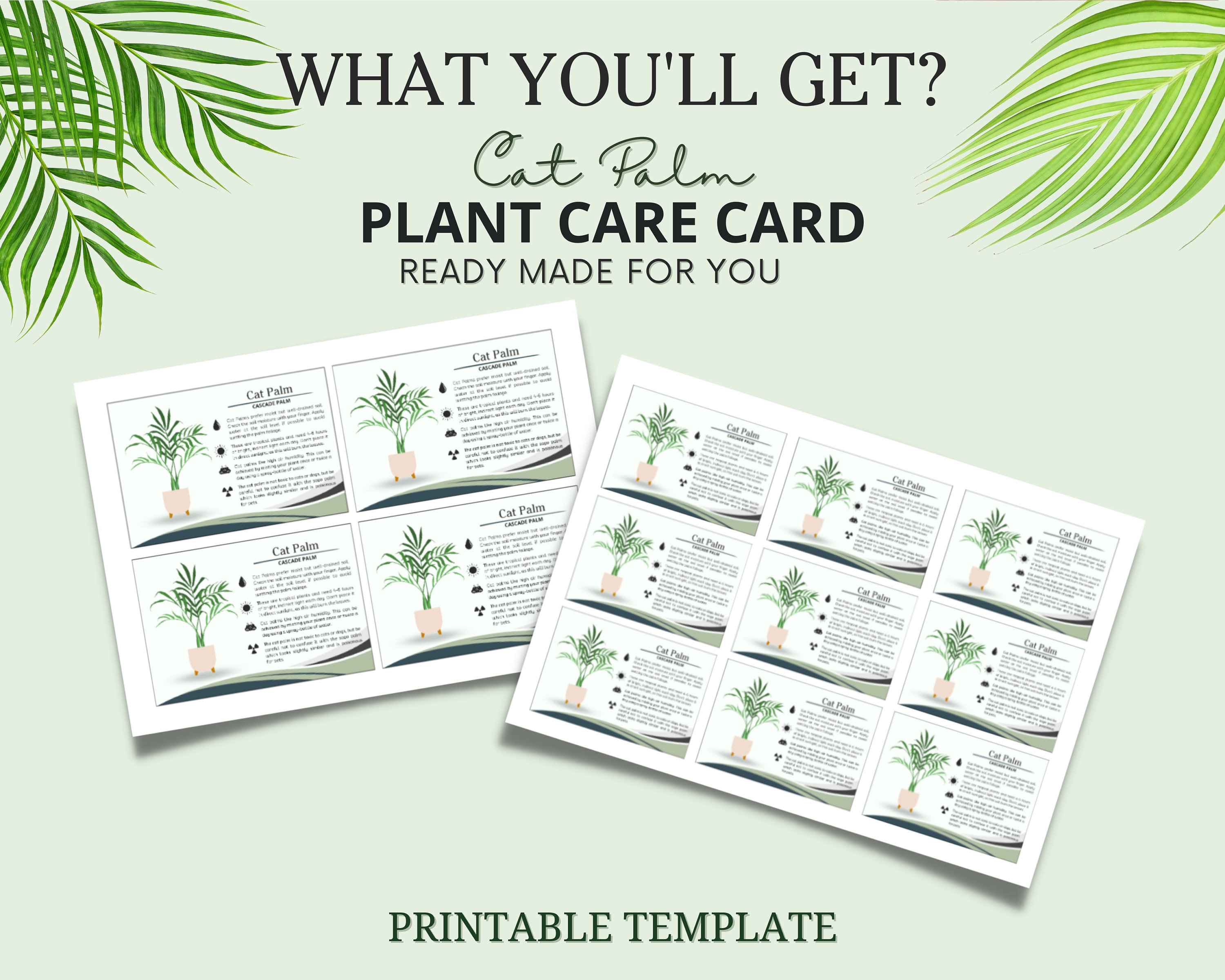 Cat Palm Care Card, How to Care for Cat Palm Plant, Sunlight for Cat Palm,  Printable Cat Palm Care Guide, Cataract Palm Care, Cascade Palm - Etsy