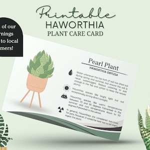 Tarjeta de cuidado de plantas Haworthia, Tarjeta de cuidado de cactus cebra, Tarjeta de cuidado de plantas de perlas, Tarjeta de cuidado de plantas Star Window, Tarjeta de cuidado de aloe cojín