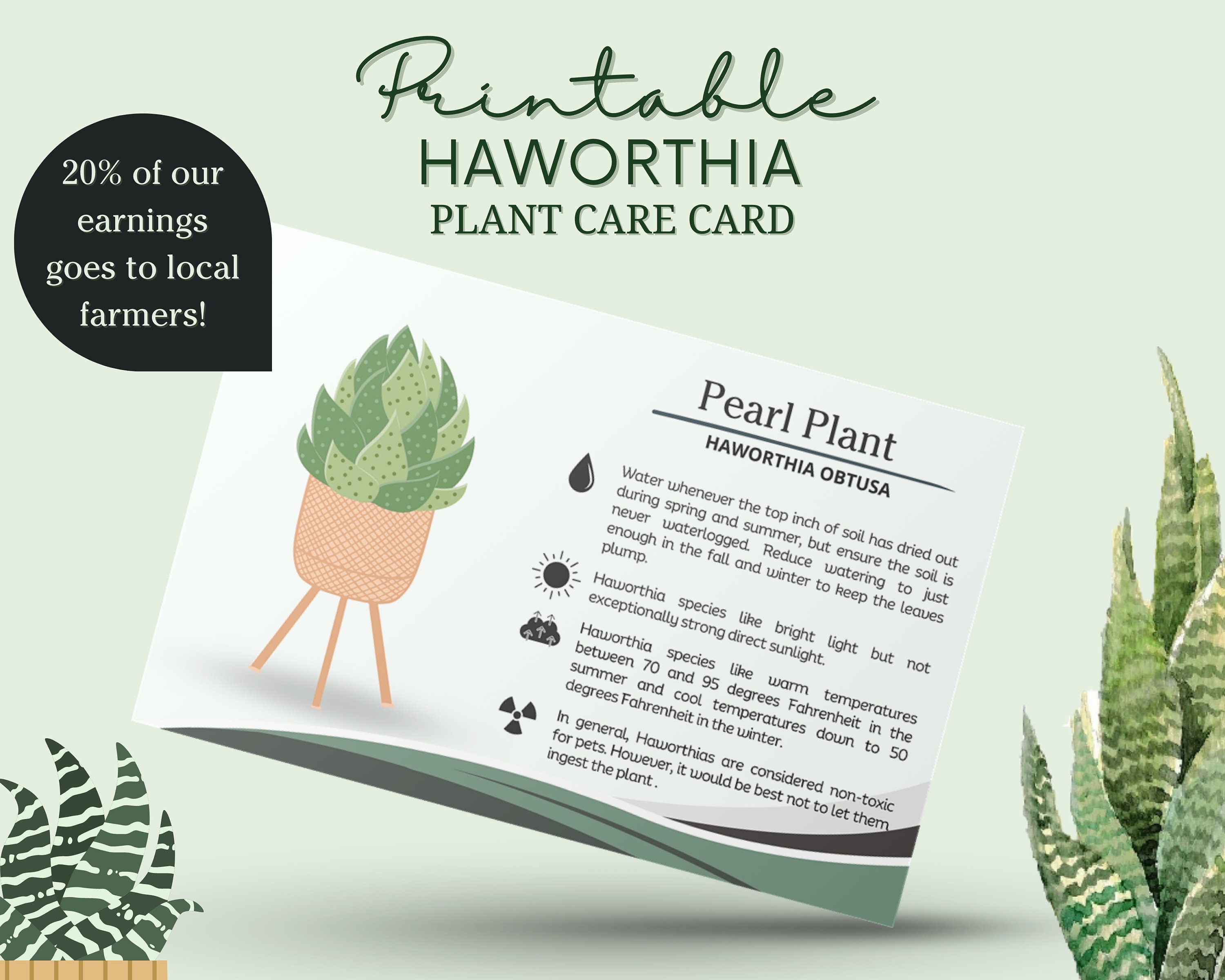 Haworthia Plant Care Card, Zebra Cactus Care Card, Pearl Plant Care Card,  Star Window Plant Care Card, Cushion Aloe Care Card - Etsy