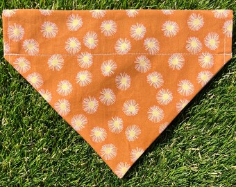 Wattle Rust Pet Bandana