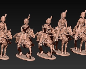 Napoleonic french french horsegrenadiers 1:72 & 28mm
