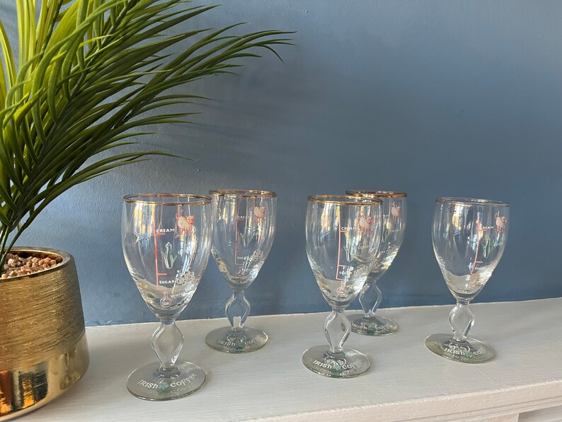 Set of 5 Vintage Irish Coffee Glasses With Funky Measurements Motif Etsy