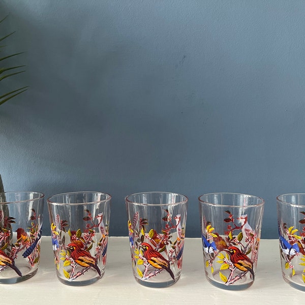 5 petits verres kitsch vintage aux motifs floraux et oiseaux aux couleurs vives