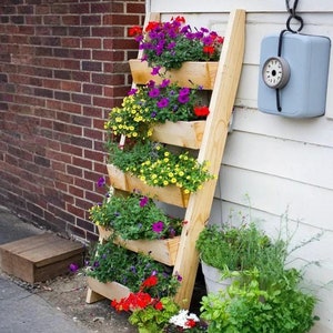Planken voor plantenbakken met gelaagde ladder. Bouw een verticale tuin met dit doe-het-zelf ladderplanterplan