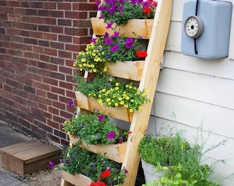 Set 10 Supporto Per Fragole Nell'orto Acquista QUI - Foto 8