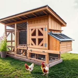DIY Chicken Coop Plan – Customizable & Easy to Build!