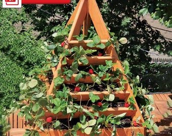 Planos de Macetero Pirámide de Fresas (formato PDF digital), Planos de Macetero de Torre. Planes de bricolaje para maceteros para hierbas y verduras.