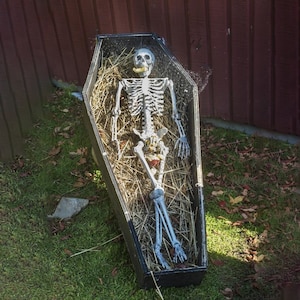 May include: A plastic skeleton is lying in a black coffin with straw inside. The coffin is on a bed of green grass with brown leaves scattered around it.