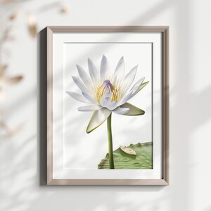 Birth Flower Gifts, July Birth Flower, Birthday Gifts, Birth Flower Prints, Digital Art, Digital Download, Gifts for Her
