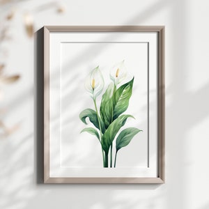 Peace Lily Digitaldruck, botanische Wandkunst, Zimmerpflanze, digitaler Download