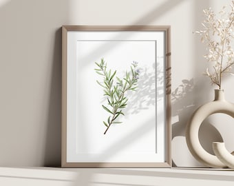 Rosmarin Digitaldruck, botanische Wandkunst, digitaler Download