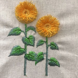Two Sunflowers in a Row Fringed Flower Stems Fluffy Fringe ...