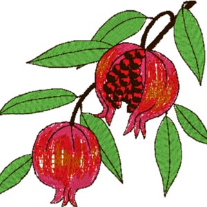 Pomegranate Fruit Branch Leaves - 3 Sizes Embroidery File - Pes Dst Exp Jef Hus Vip and  XXX  - Instant Download