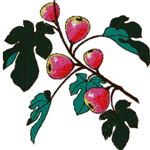 Fig Fruit Branch Leaves - 3 Sizes Embroidery File - Pes Dst Exp Jef Hus Vip and  XXX  - Instant Download