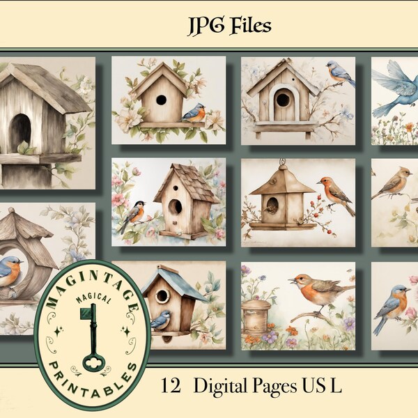 Bird in birdhouse digital papers - printable garden sheets -Garden birds - Lovely little birds -Digital paper - printables