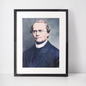 Gregor Mendel Photo, 1862, Digitally Enhanced and Colourised, Digital Image Download, Titled, Untitled and Original Images