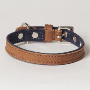 Canvas Leather Dog Collar &quot;Indigo&quot; - X-Small to Small