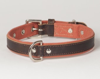 Puede incluir: Un collar de perro de cuero marrón con un forro de lona naranja brillante. El collar tiene una hebilla plateada y un anillo en D.