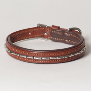 Leather Dog Collar Decorated with Silver Colored Rivets Genuine Leather &quot;Magnifico&quot; -    XX-Small to Small