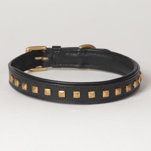 Leather Dog Collar Decorated with Gold Colored Rivets Genuine Leather "Phantom" -  Medium