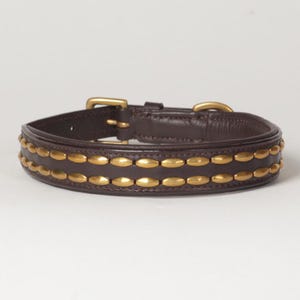 Leather Dog Collar Decorated with Gold Colored Brass Rivets Genuine Leather &quot;Camelot&quot; -  Medium