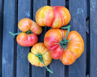 ANANASTOMATE, Tomatensamen, Samen