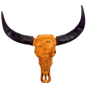 Bali-Skull of water buffalo/bull DRAGON in light brown incl. carved horns for wall decoration
