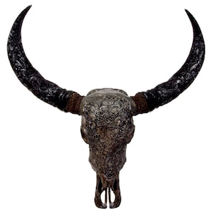 Bali-Skull of water buffalo/bull KOI in grey incl. carved horns for wall decoration