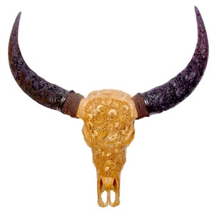 Bali-Skull of water buffalo/bull KOI in antique incl. carved horns for wall decoration