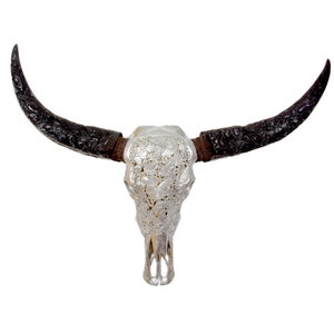 Bali-Skull of water buffalo/bull KOI in silver incl. carved horns for wall decoration