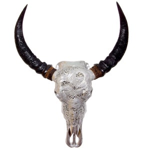 Bali-Skull of water buffalo/bull DRAGON in silver incl. carved horns for wall decoration
