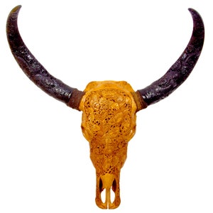Bali-Skull of water buffalo/bull KOI in light brown incl. carved horns for wall decoration