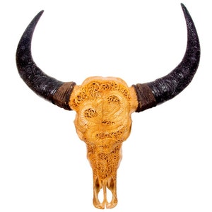 Bali-Skull of water buffalo/bull DRAGON in antique incl. carved horns for wall decoration