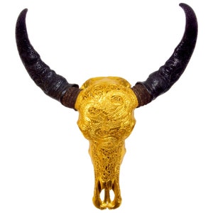 Bali-Skull of water buffalo/bull DRAGON in gold incl. carved horns for wall decoration