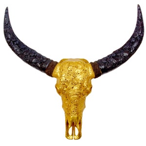 Bali-Skull of water buffalo/bull KOI in gold incl. carved horns for wall decoration