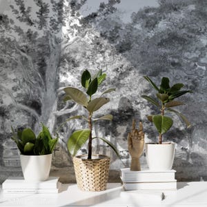 Black and white forest mural, Monochrome nature wallpaper, Forest landscape wallpaper, Vintage tree design, Peel and stick wallpaper 104