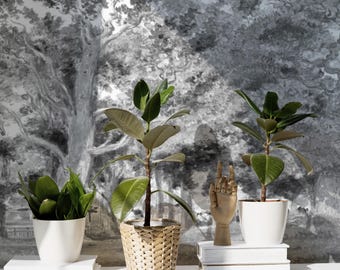 Black and white forest mural, Monochrome nature wallpaper, Forest landscape wallpaper, Vintage tree design, Peel and stick wallpaper 104