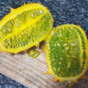 20 Kiwano Melon Cucumber Seeds