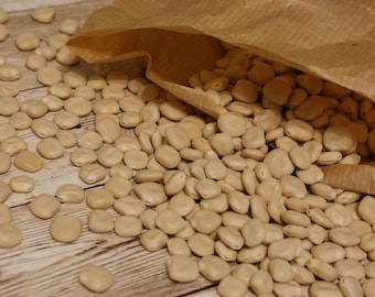 40 White Lupin Seeds (Lupinus albus) - Organic Farming