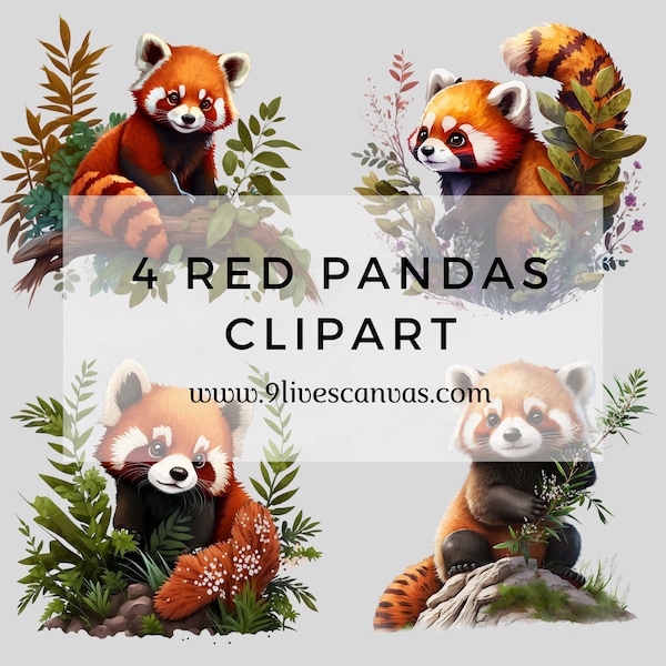 4 Red Pandas Clipart, Red Panda Clipart, Red Panda Bundle PNG, Pack of 4 Digital Red Panda PNGs, Instant Download, 12 Inch Clipart