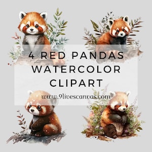 4 aquarelle Red Pandas Clipart, Red Panda Clipart, Red Panda Bundle PNG, Pack de 4 Digital Red Panda PNG, Téléchargement instantané 12 pouces Clipart