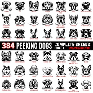 384 - Peeking dog heads Svg, Png, Dxf and PDF bundle graphics - Peeking dogs puppy pet lover owner instant downloads