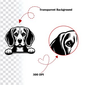 Pacote de imagens SVG de raças de cães espiando: 384 cabeças de cachorro (download digital) imagem 3