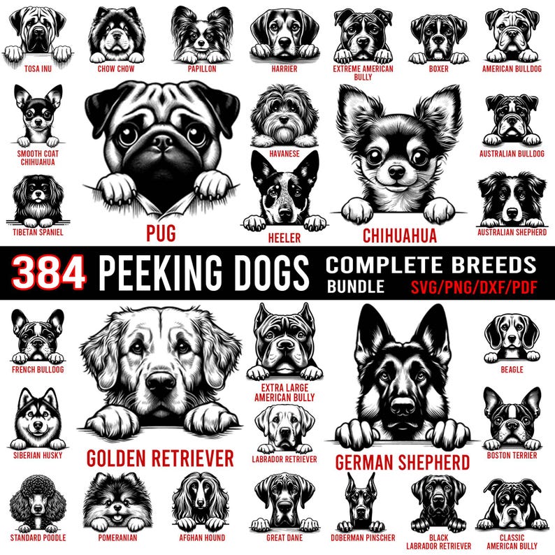 Pode incluir: Uma ilustra&ccedil;&atilde;o digital de 384 ra&ccedil;as de c&atilde;es diferentes, cada uma espiando por cima de uma superf&iacute;cie. Os c&atilde;es est&atilde;o todos em preto e branco, e est&atilde;o dispostos em uma grade. O texto "384 Peeking Dogs Complete Breeds Bundle SVG/PNG/DXF/PDF" est&aacute; no topo da imagem.