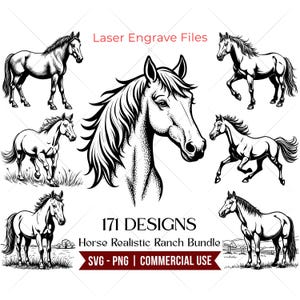 May include: A collection of black and white horse illustrations. The image includes various poses of horses, along with the text "Laser Engrave Files" and "171 DESIGNS Horse Realistic Ranch Bundle SVG - PNG | COMMERCIAL USE."