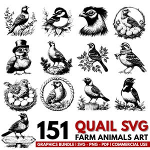 Quail SVG Bundle: Farm Bird Clipart, Cricut & Silhouette Files (Commercial Use) (Digital Download)
