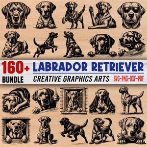 Paquete de arte digital de más de 160 labradores retriever: archivos Svg, Png, Dxf y PDF, archivos cortados con láser, arte imprimible de perros labradores: descargas digitales instantáneas