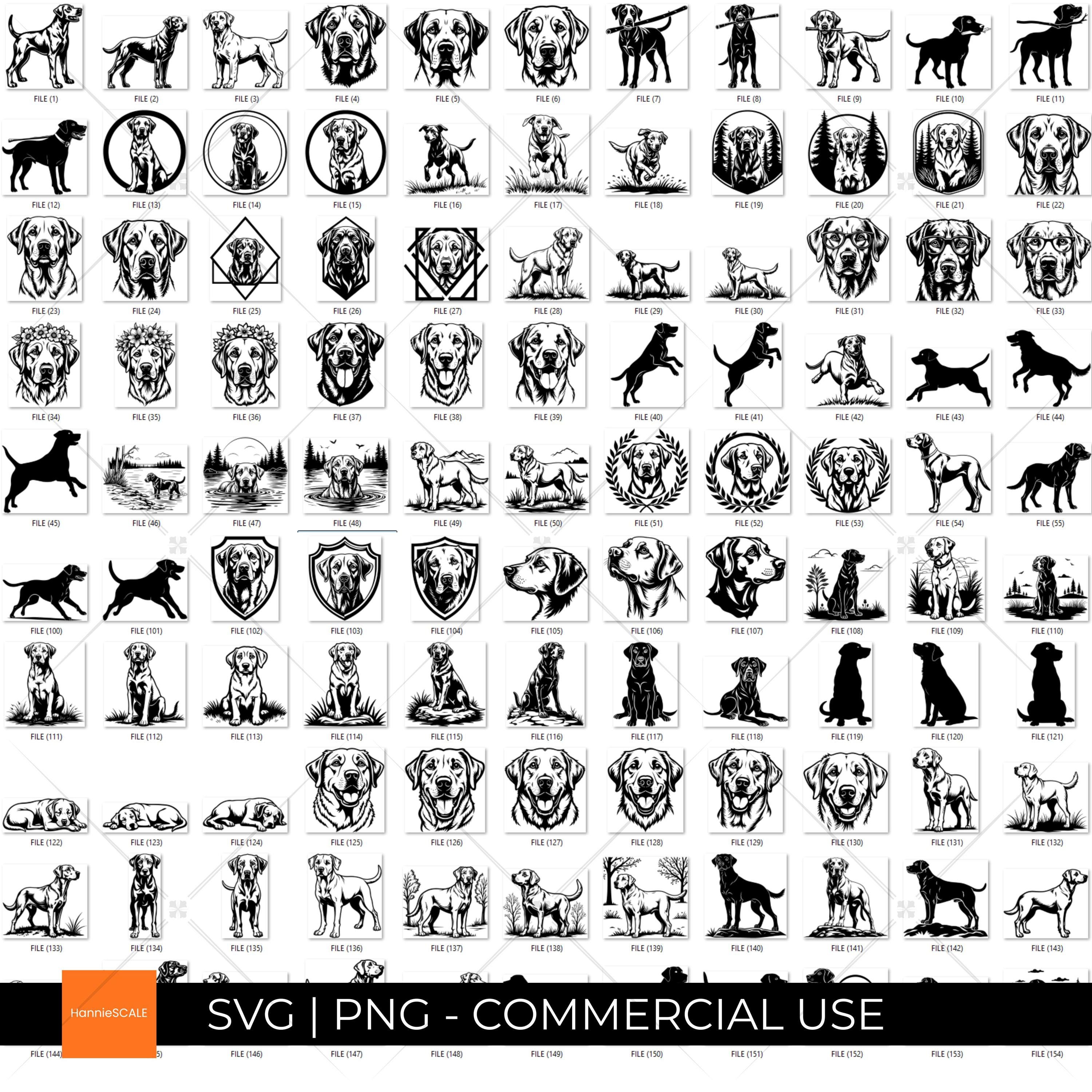 Labrador Retriever Realistic Svg & Png Bundle Laser Engrave Files for ...