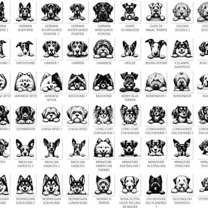 Pacote de imagens SVG de raças de cães espiando: 384 cabeças de cachorro (download digital) imagem 5